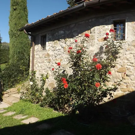 Canto Dei Merli