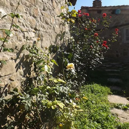 Canto Dei Merli فندق مبيت وإفطار