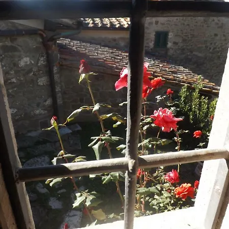 Canto Dei Merli