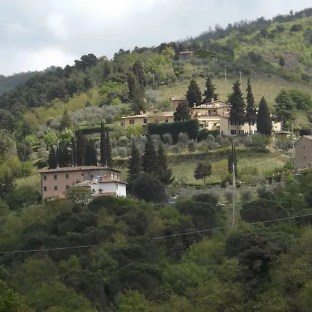 Canto Dei Merli
