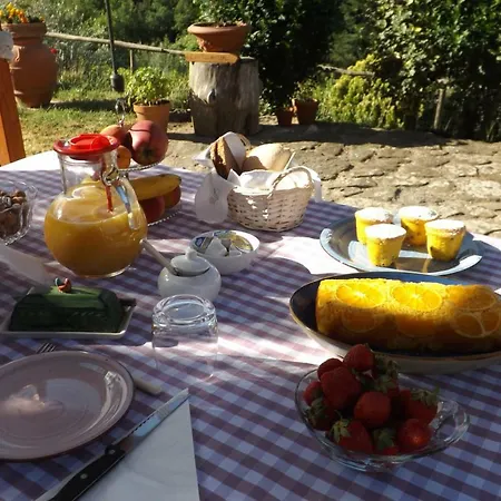 فندق مبيت وإفطار Canto Dei Merli 4*