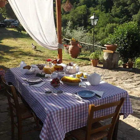 Nocleg ze śniadaniem Canto Dei Merli Greve in Chianti