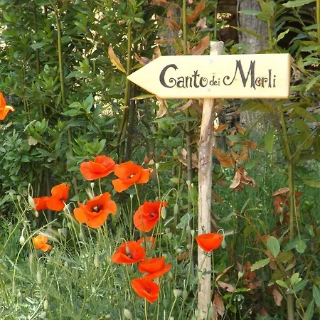 Canto Dei Merli فندق مبيت وإفطار 4*